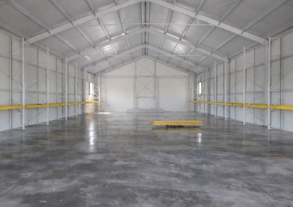 hala na wynajem - Głogów Małopolski (gw), Lipie